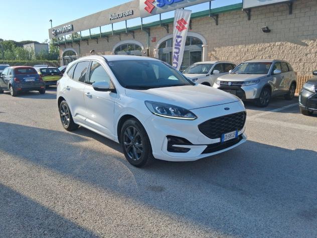 Ford Kuga 1.5 EcoBlue 120CV 2WD ST-Line-Solo km. 83.758 - Foto 3