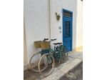Favignana isole Egadi