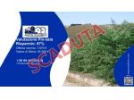 Immobile in asta di 3 m² in vendita a Belmonte Mezzagno