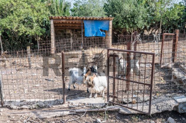 Cascina/Casale in vendita a Chiaramonte Gulfi - Foto 14