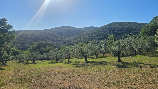 Rustico in vendita a Lugnano in Teverina - Foto 12