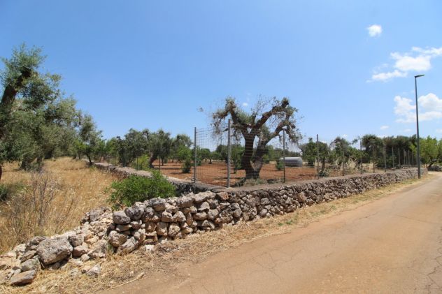 TERRENO AGRICOLO VIA DELLE ROSE GROTTAGLIE - Foto 7