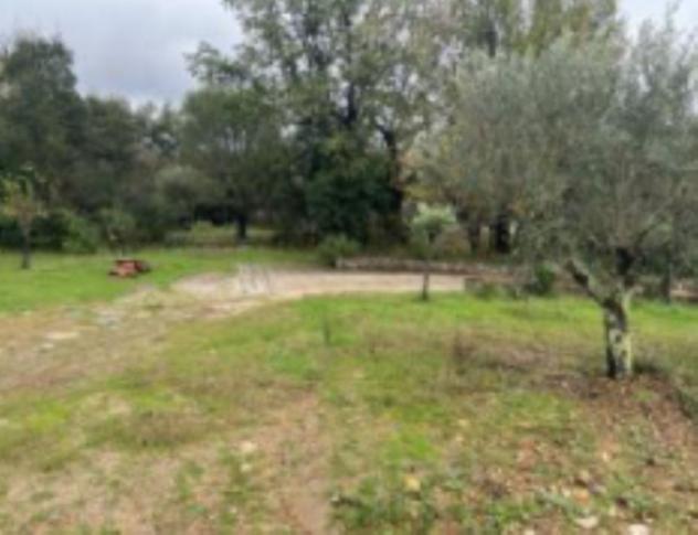 Immobile in asta di 12896 m² in vendita a Ispani - Foto 2