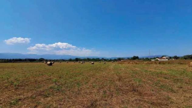 Immobile in asta di 277110 m² in vendita a Gioia Tauro - Foto 16