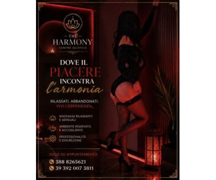 Studio The Harmony - Foto 4