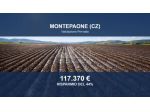 Immobile in asta di 110435 m² in vendita a Montepaone