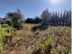 OLIVETO PAINEGGIANTE E VISTA MARE