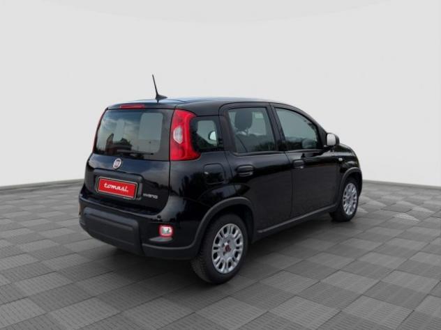 FIAT Panda Panda 1.0 FireFly S&S Hybrid rif. 24078706 - Foto 5