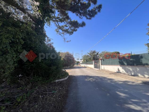 Terreno Agricolo - Terracina . Rif.: Cod. rif 3164267VRG - Foto 15