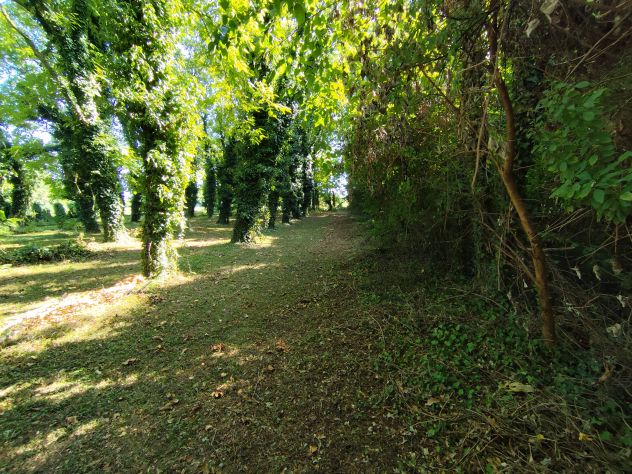 Ampia area alberata nel nucleo urbano ideale per bioedilizia - Foto 4