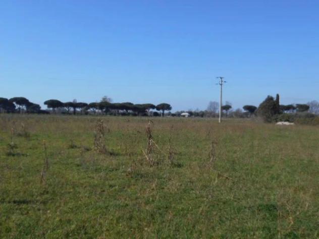 Immobile in asta di 82648 m² in vendita a Latina - Foto 6