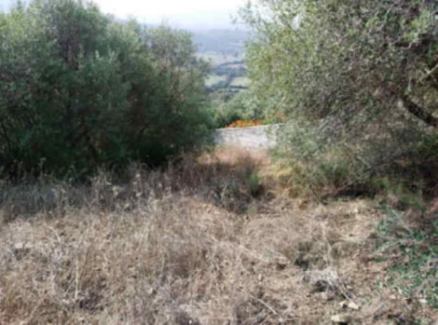Immobile in asta di 660 m² in vendita a Loiri Porto San Paolo - Foto 2