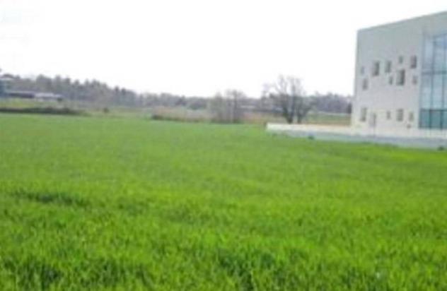 Immobile in asta di 6039 m² in vendita a Mondolfo - Foto 2