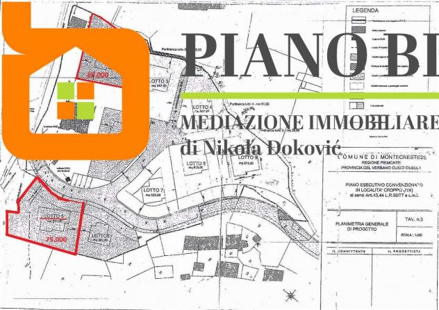 V000339 - N° 2 LOTTI DI TERRENI EDIFICABILI