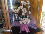 Vaso di orchidee fatte a mano all'uncinetto.