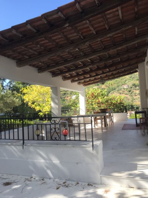 Affittasi casa vacanze in Cilento, immersa del verde - Foto 3
