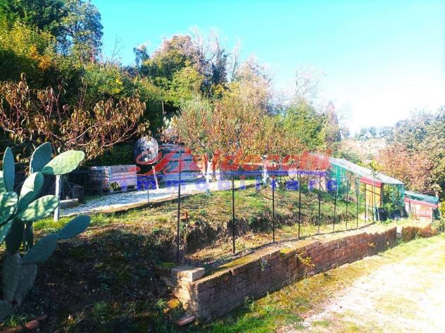 TERRENO AGRICOLO TECNOLOGICO - Foto 11