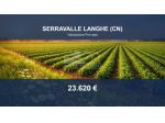 Immobile in asta di 58744 m² in vendita a Serravalle Langhe