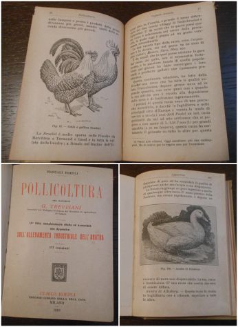 POLLICOLTURA, DEL MARCHESE G. TREVISANI, ULRICO HOEPLI 1919. - Foto 3