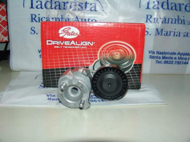 Tendicinghia volvo 31251654