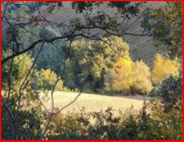 Immobile in asta di 31620 m² in vendita a Ripatransone - Foto 3