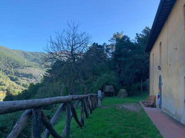 Rustico in vendita a Asciano - San Giuliano Terme 168 mq Rif: 1154110 - Foto 4