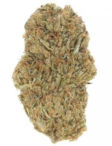 Blue Dream