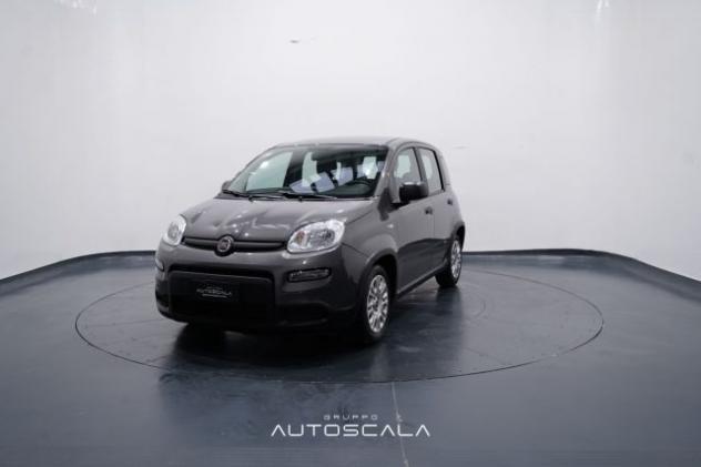 FIAT New Panda 1.0 FireFly City Life S&S Hybrid rif. 22918132