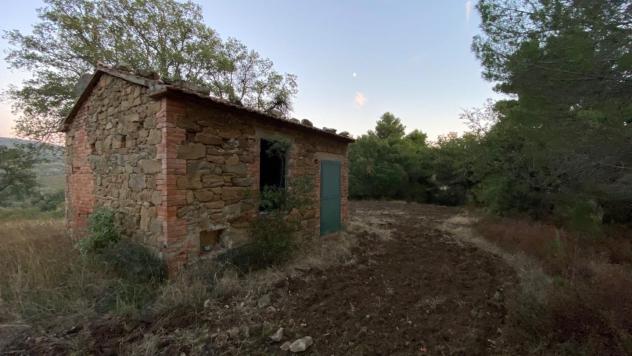 Terreno agricolo in vendita a Montorgiali - Scansano 103300 mq Rif: 1392018 - Foto 7