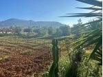 Agricolo in vendita a Terracina