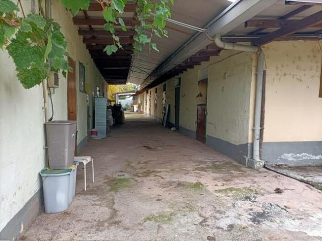 Sviluppo area sportiva centro equitazione - Foto 3