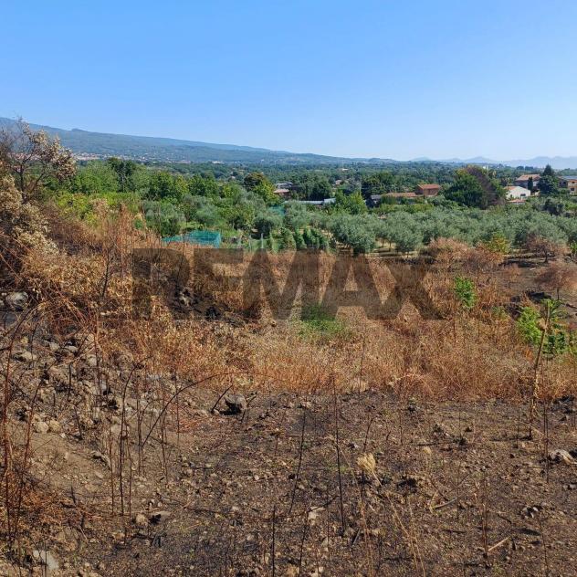 Terreno in vendita a Zafferana Etnea, Pisano - Foto 18
