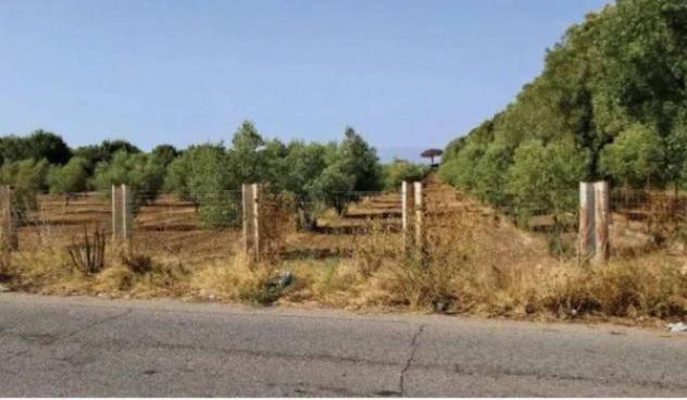 Immobile in asta di 24000 m² in vendita a Gioia Tauro - Foto 3