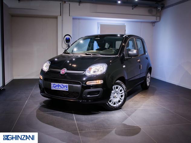 FIAT Panda Panda 1.0 FireFly S&S Hybrid Icon - "PREZZO VERO" - Foto 2
