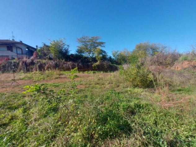 Immobile in asta di 3640 m² in vendita a Artena - Foto 10