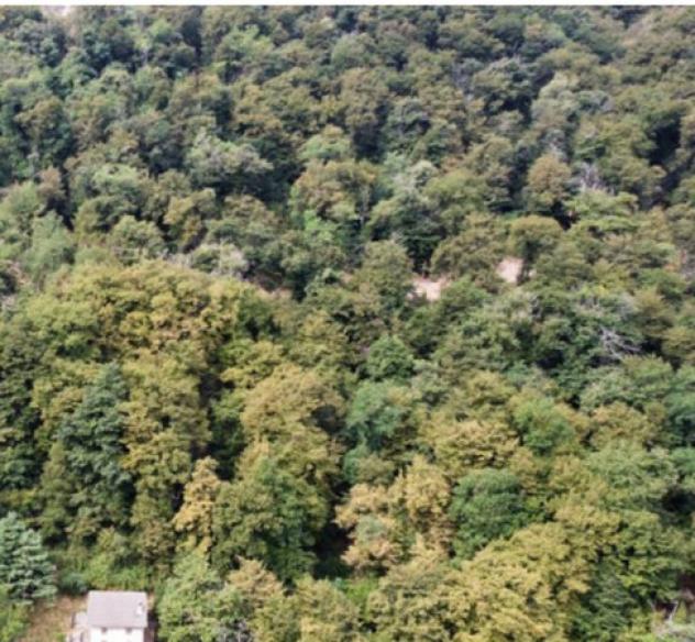 Immobile in asta di 3170 m² in vendita a Brienno - Foto 4