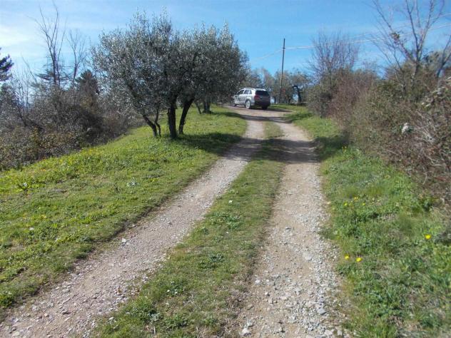 Terreno agricolo in Vendita in zona MONTORSOLI con giardino - Foto 2