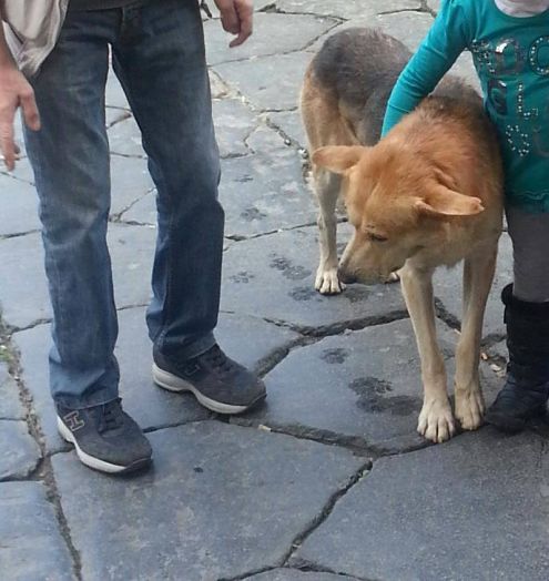 JACK E BIANCA, adozione speciale - Foto 3
