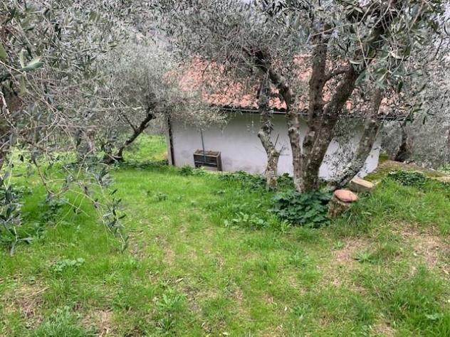 Box in vendita a Calci 38 mq Rif: 1402142