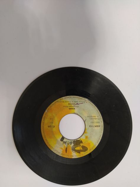 R84 -DALIDA