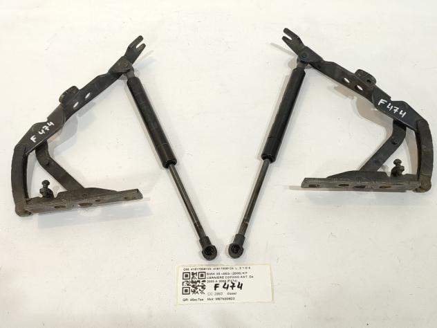 CERNIERE COFANO ANTERIORE DX E SX BMW X5 Serie (E53) 41617006123 41617006124 M57N306D2 (9906)