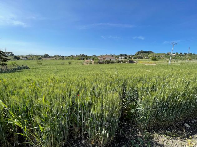 TERRENO IN CONTRADA CALICI CANICATTI - Foto 7