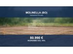 Immobile in asta di 23049 m² in vendita a Molinella
