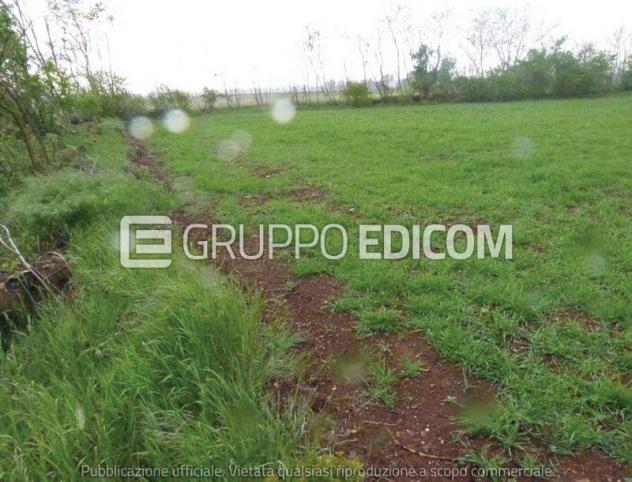 Terreno di 13090 mq in vendita a Paese - Rif. 4549350