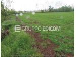 Terreno di 13090 mq  in vendita a Paese - Rif. 4549350