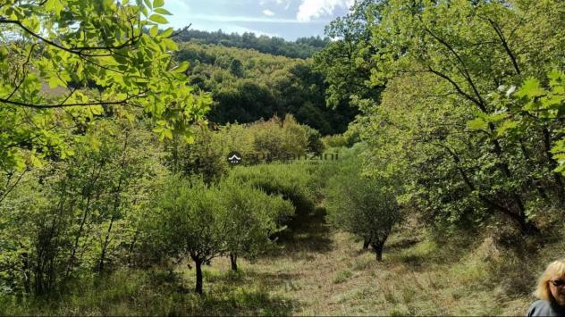 TORRICELLA: Fossombrone località torricella nell antico borgo medievale, sormontato dai ruderi di una rocca, da cui si dominava la valle del tarugo, a - Foto 6
