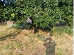 Casa Indipendente in vendita a Piedimonte Etneo