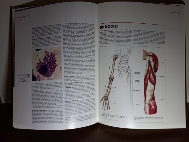 Enciclopedia Medica - Foto 4