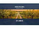 Immobile in asta di 19515 m² in vendita a Adelfia