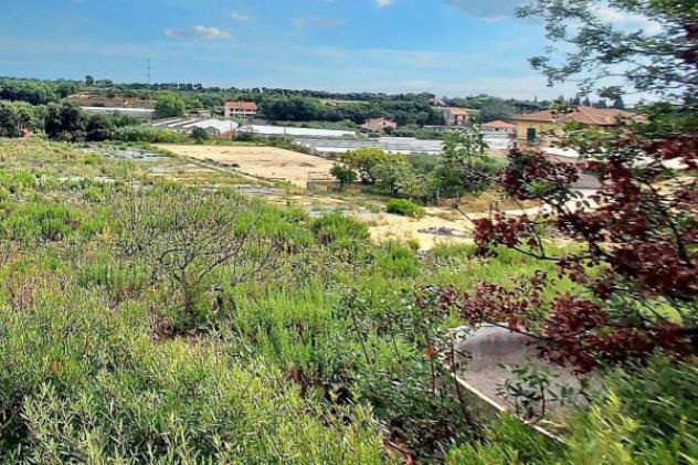 Immobile in asta di 10973 m² in vendita a Albenga - Foto 10